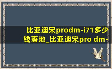 比亚迪宋prodm-i71多少钱落地_比亚迪宋pro dm-i71km超越型落地价